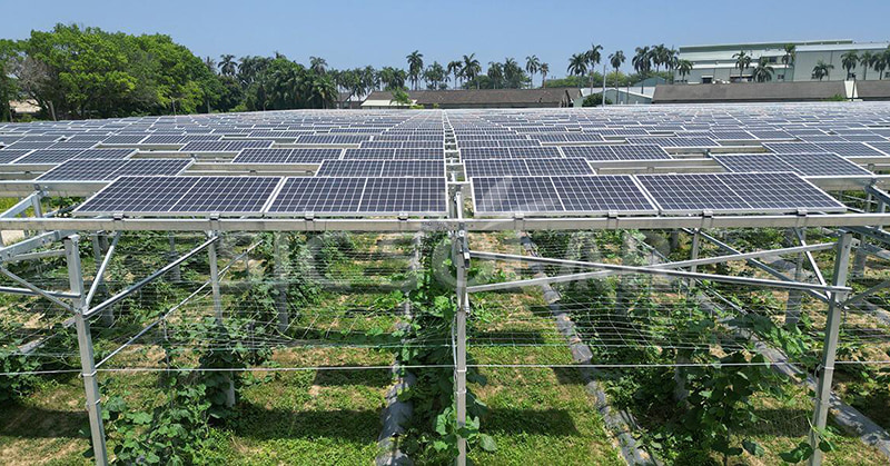 Esplorare la dimensione ideale di un parco solare: l’ultima prospettiva nel 2024